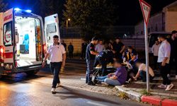 Kontrolden çıkan minibüs ağaca çarptı: 2 yaralı