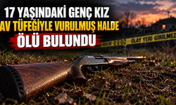 Mardin'de genç kız av tüfeğiyle vurulmuş halde bulundu