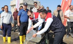 Ilısu Baraj Gölü'ne 800 bin yavru şabut balığı bırakıldı