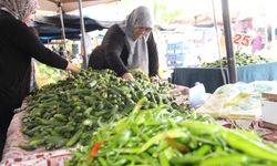 Pazarlarda turşu sezonu hareketliliği