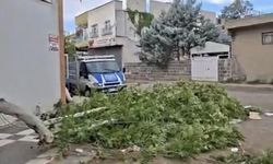 Şanlıurfa'da aniden bastıran fırtına zor anlar yaşattı