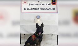 Şanlıurfa'da bir kilogram metamfetamin ele geçirildi