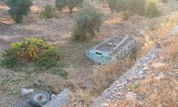 Şanlıurfa'da fıstık yüklü traktör şarampole devrildi! Sürücü ağır yaralı