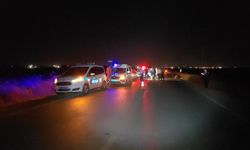 Şanlıurfa'da iki araç çarpıştı: 2 yaralı