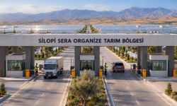 Silopi Sera Organize Tarım Bölgesi 1000 kişiye istihdam sağlayacak