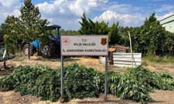 Kilis'te 40 kilo 500 gram kubar esrar ele geçirildi
