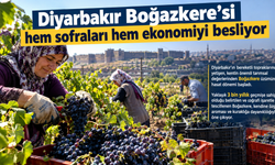 Diyarbakır Boğazkere'si hem sofraları hem ekonomiyi besliyor