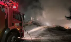 Van'da alevler yükseldi: 2 bin 500 bağ ot alevlere teslim oldu