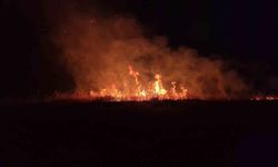 Adıyaman'da anız yangını