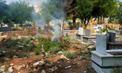 Belediyenin yapmadığını mahalle sakinleri yapıyor