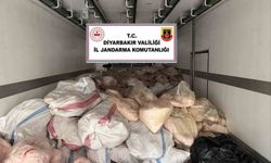 Diyarbakır'da 8 ton hayvansal iç yağ ve sakatat ele geçirildi