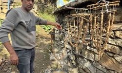 Diyarbakır'da bağ bozumu başladı