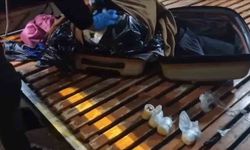 Kazağın içine saklanmış 15 bin adet narkotik hap çıktı