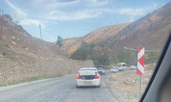 Otomobilin bagajında tehlikeli yolculuk