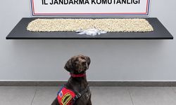 Şanlıurfa'da 14 bin 410 Captagon ele geçirildi