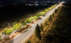 Şanlıurfa'da 18 kilometrelik yola 472 yeni aydınlatma direği