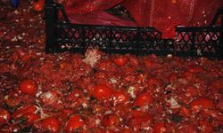 Şanlıurfa'da sağlığı tehdit eden görüntüler!