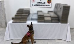 Siirt'te kömür çuvallarının arasına gizlenmiş kaçak sigara ele geçirildi