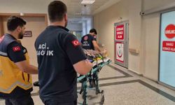 Üç tekerlekli motosiklet devrildi: 2 yaralı