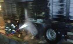 Batman-Diyarbakır yolunda TIRın lastikleri alev aldı