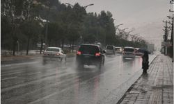 Bitlis'te sağanak yağış etkili oldu