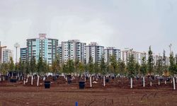 Diyarbakır’da yıl sonuna kadar 580 bin metrekare yeşillendirilecek