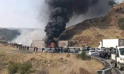 Diyarbakır-Bitlis yolunda duvara çarpan tır alev topuna döndü