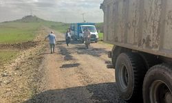 Diyarbakır'da defalarca çağrı yaptılar, çözümü kendileri buldular