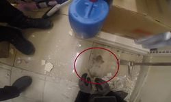 Diyarbakır'da demir profile sıkışan yavru kedi kurtarıldı