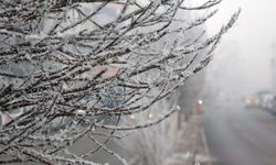 Diyarbakır'da haftalık hava tahmini; En soğuk gün açıklandı