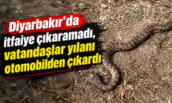Diyarbakır'da itfaiye çıkaramadı, vatandaşlar yılanı otomobilden çıkardı