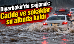Diyarbakır'da sağanak: Cadde ve sokaklar su altında kaldı