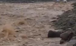 Diyarbakır'da sel ve taşkın: 2 köprü yıkıldı, dereler taştı