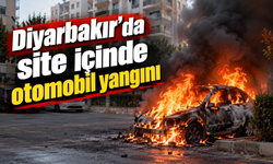 Diyarbakır'da site içinde otomobil yangını