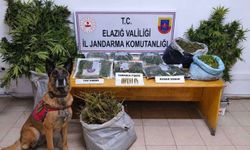 Elazığ'da yüklü miktarda narkotik ele geçirildi