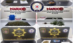 Elazığ'da uyuşturucu operasyonlarında 12 şüpheli tutuklandı