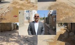 Ergani'de bitmeyen çile: Bozuk yol ve elektrik kesintileri