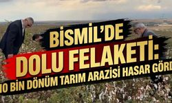 Bismil'de dolu felaketi: 10 bin dönüm tarım arazisi hasar gördü