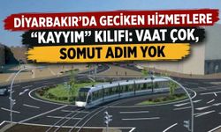 Diyarbakır'da geciken hizmetlere "kayyım" kılıfı: Vaat çok, somut adım yok