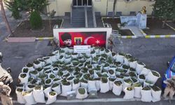 Diyarbakır'da 2 tondan fazla esrar ele geçirildi: 3 tutuklama