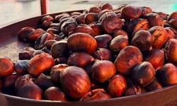 Kestane sezonu başladı: 100 gramı 100 lira