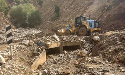 Kulp'ta yağışların ardından 57 yerleşim yolu hasar gördü