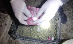 Kümeste uyuşturucu ele geçirildi: 3 şüpheli tutuklandı