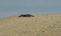 Malatya'da gölette erkek cesed! bulundu, Piknik yapan vatandaşlar fark etti