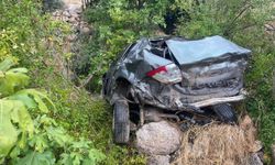 Mardin'de otomobil şarampole devrildi