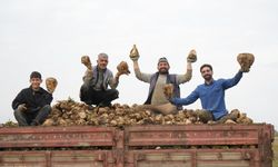 Muş'ta bin 600 çiftçinin emeğinden 300 bin ton ürün
