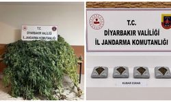Diyarbakır’da narkotik operasyonlarında çok sayıda madde ele geçirildi
