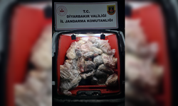 Diyarbakır’da 820 kilo sağlıksız hayvansal ürün ele geçirildi