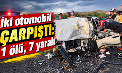 Şanlıurfa'da iki otomobil çarpıştı: 1 ölü, 7 yaralı