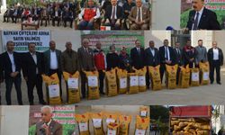 Siirt'te üreticilere 176 ton sertifikalı kırmızı mercimek tohumu dağıtılıyor
